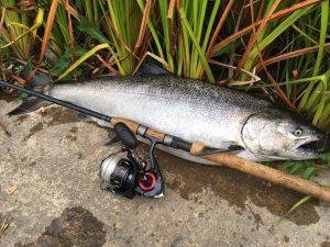 Oak Orchard Tackle and Lodge Fish